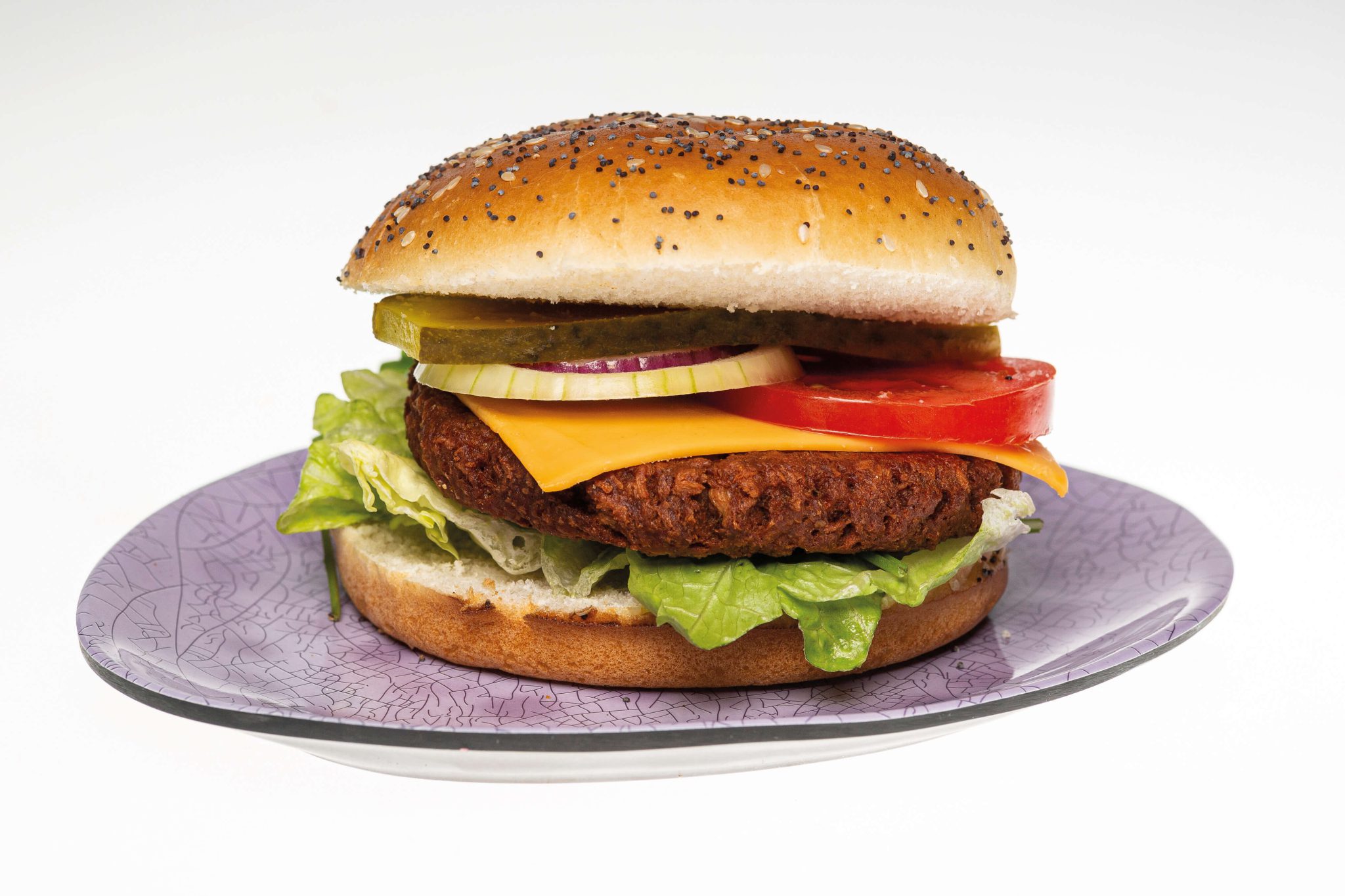VEGAN BEEF BURGER 20 X 110 GRAM